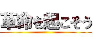 革命を起こそう ()