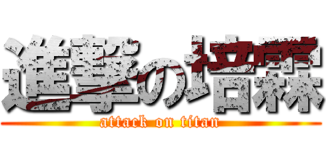進撃の培霖 (attack on titan)