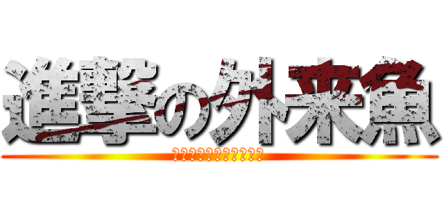 進撃の外来魚 (多摩川に放たれた魚たち)