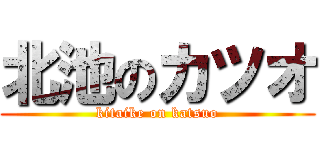 北池のカツオ (kitaike on katsuo)