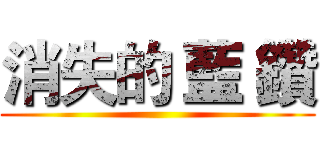 消失的 藍 鑽 ()