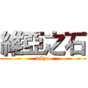 維亞之石 (vilya)