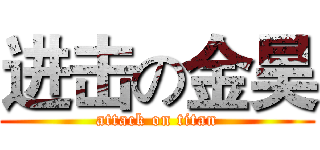 进击の金昊 (attack on titan)