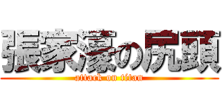 張家濠の尻頭 (attack on titan)