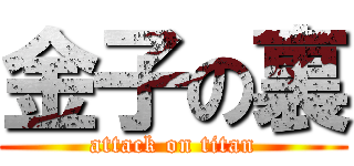 金子の裏 (attack on titan)