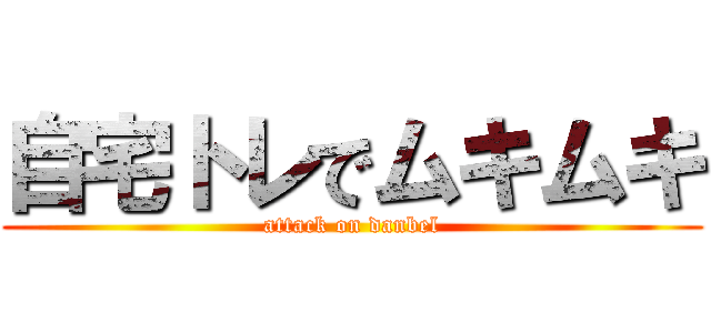 自宅トレでムキムキ (attack on danbel)