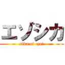 エゾシカ (sika of ezo!)