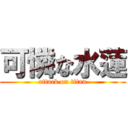 可憐な水蓮 (attack on titan)