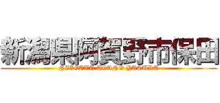 新潟県阿賀野市保田 (NIIGATA AGANO YASUDA)