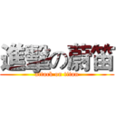 進擊の蔚笛 (attack on titan)