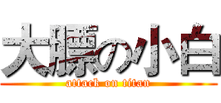大膘の小白 (attack on titan)