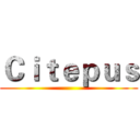 Ｃｉｔｅｐｕｓ ()