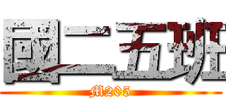 國二五班 (M205)