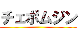 チェボムジン ()