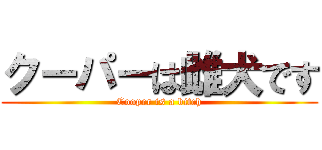クーパーは雌犬です (Cooper is a bitch)