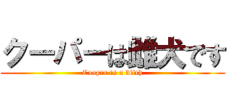 クーパーは雌犬です (Cooper is a bitch)