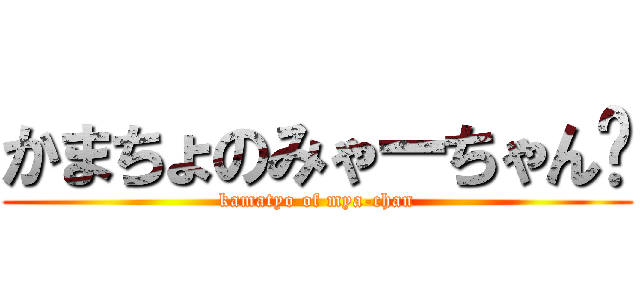 かまちょのみゃーちゃん🎵 (kamatyo of mya-chan)