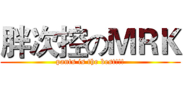 胖次控のＭＲＫ (pants is the best!!!)
