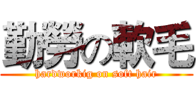 勤勞の軟毛 (hardworkig on soft hair)