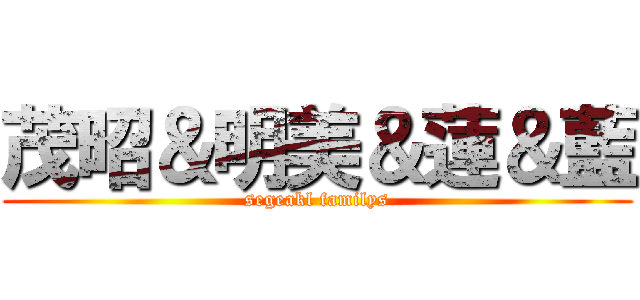 茂昭＆明美＆蓮＆藍 (segeakl familys)