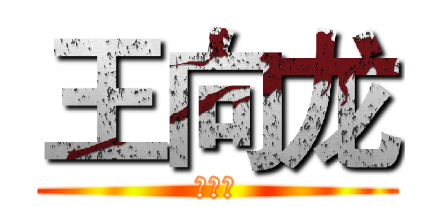 王向龙 (王向龙)