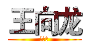 王向龙 (王向龙)