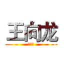 王向龙 (王向龙)
