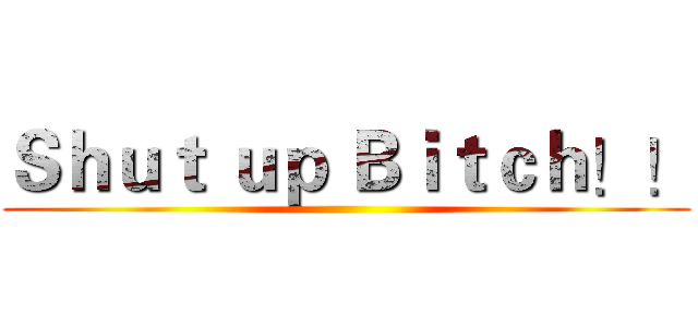 Ｓｈｕｔ ｕｐ Ｂｉｔｃｈ！！ ()