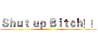 Ｓｈｕｔ ｕｐ Ｂｉｔｃｈ！！ ()