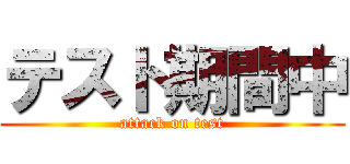 テスト期間中 (attack on test)