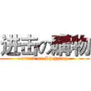 进击の購物 (attack on Shopping)