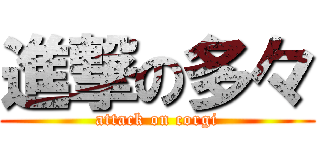 進撃の多々 (attack on corgi)