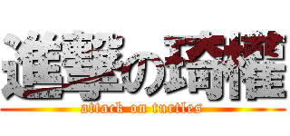 進撃の琦權 (attack on turtles)