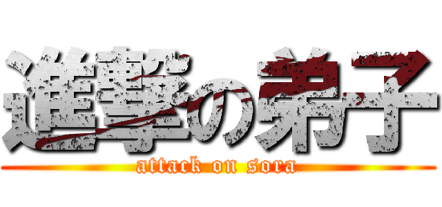 進撃の弟子 (attack on sora)