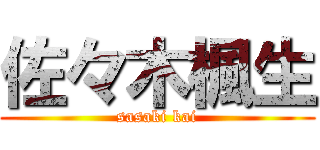 佐々木楓生 (sasaki kai)