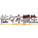 佐々木楓生 (sasaki kai)