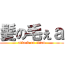 髪の毛ぇａ (attack on titan)