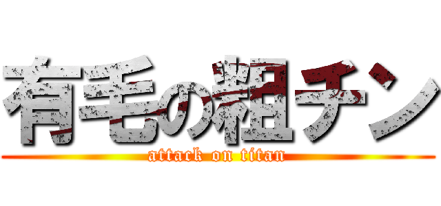 有毛の粗チン (attack on titan)