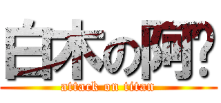 白木の阿搞 (attack on titan)