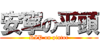 安寧の平頭 (RIP on pintor)