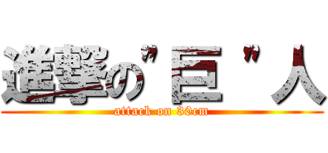 進撃の\"巨 \"人 (attack on 30cm)