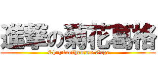 進撃の菊花葛格 ( Chrysanthemum Gege)