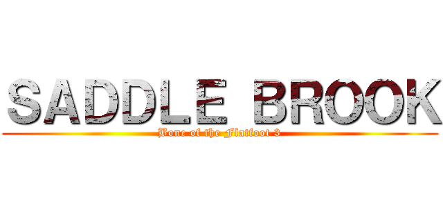 ＳＡＤＤＬＥ ＢＲＯＯＫ (Bone of the Flatfoot 3)