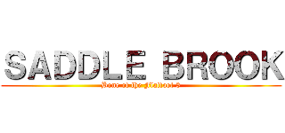 ＳＡＤＤＬＥ ＢＲＯＯＫ (Bone of the Flatfoot 3)