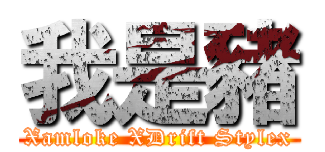 我是豬 (Xamloke XDrift Stylex)