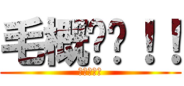 毛概满绩！！ (毛概满绩！)