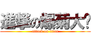 進撃の爆菊大队 (attack on titan)