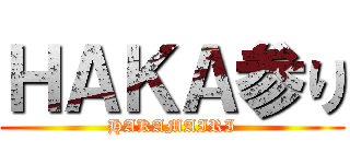 ＨＡＫＡ参り (HAKAMAIRI)