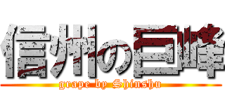 信州の巨峰 (grape by Shinshu)