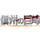 信州の巨峰 (grape by Shinshu)